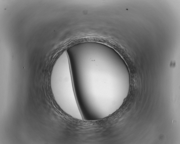 X0000092231493200709140931