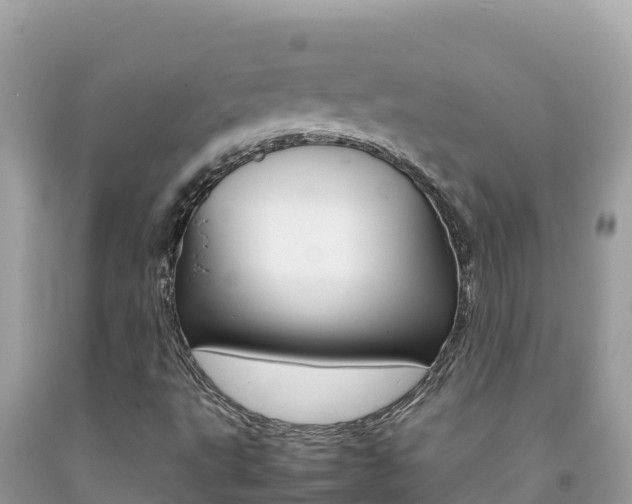 X0000092231495200709140931