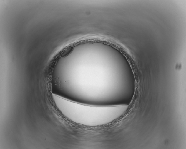 X0000092231496200709140931