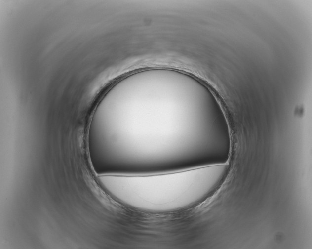 X0000092231499200709140931