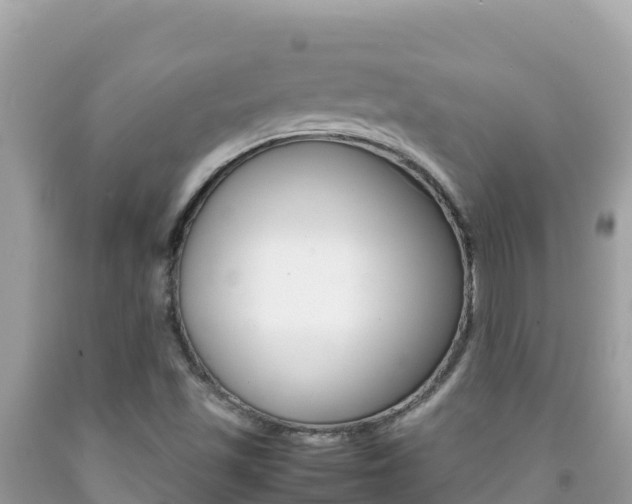X0000092231501200709140931