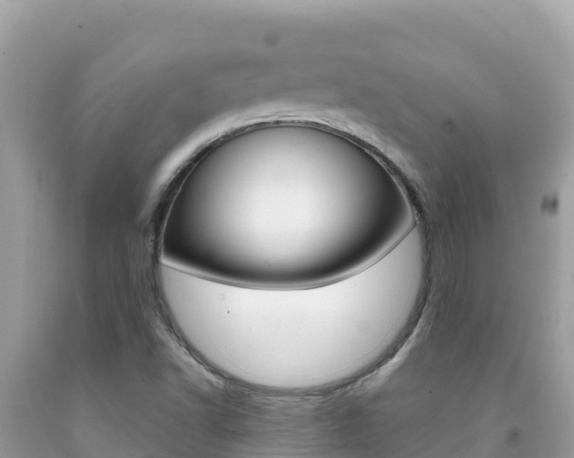X0000092231502200709140931
