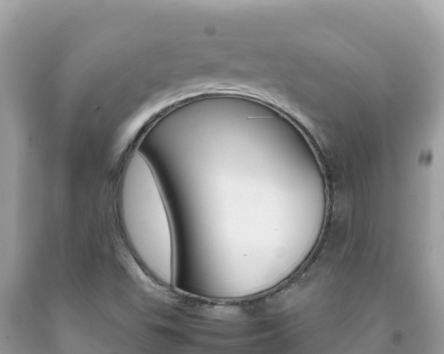 X0000092231503200709140931