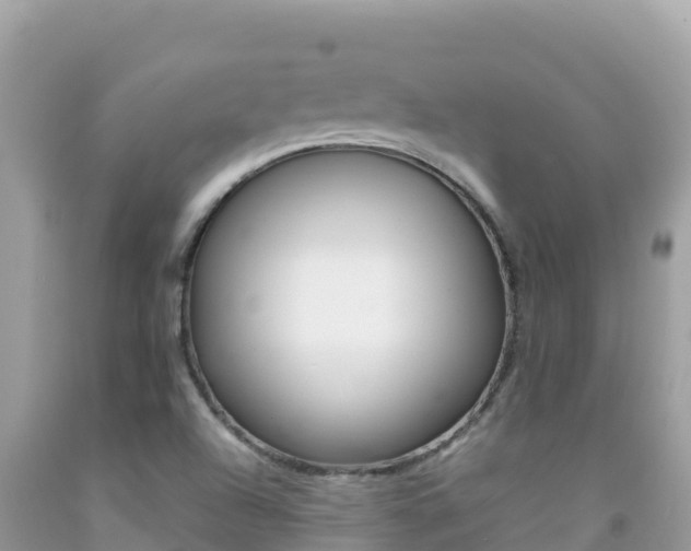 X0000092231504200709140931