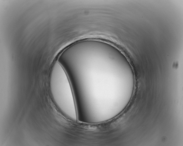 X0000092231505200709140931