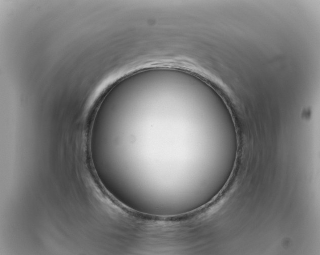 X0000092231506200709140931