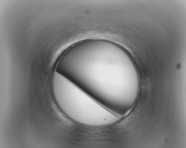X0000092231507200709140931