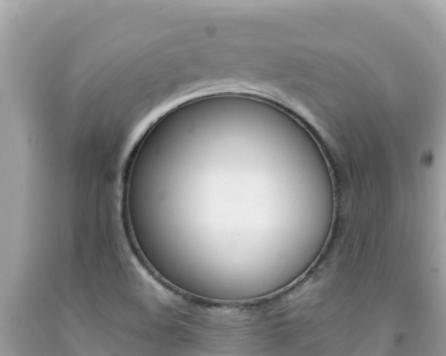 X0000092231508200709140931