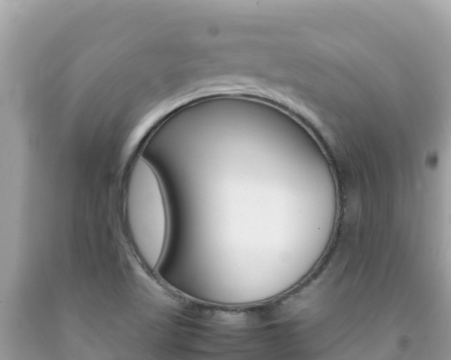 X0000092231509200709140931