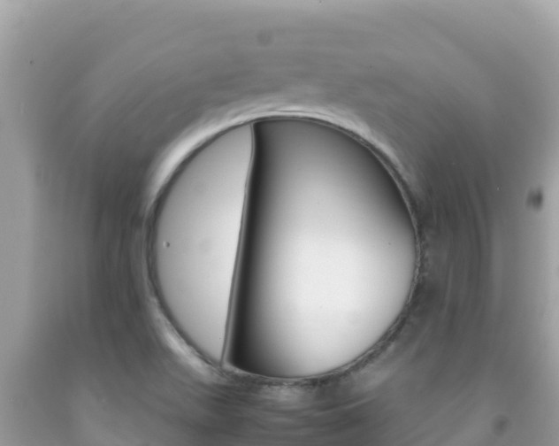 X0000092231511200709140931