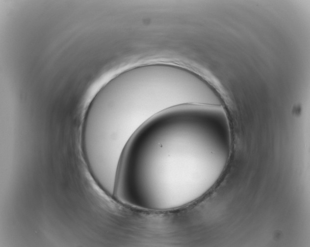 X0000092231512200709140931