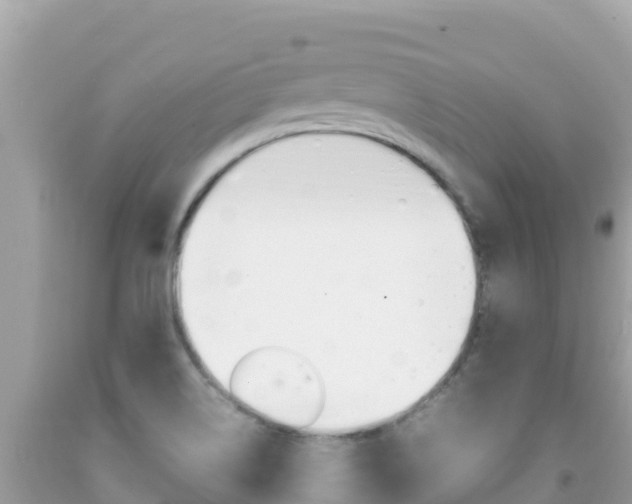 X0000092231514200709140931