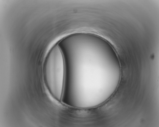 X0000092231515200709140931