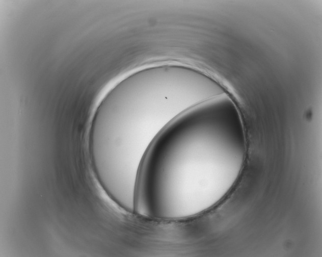 X0000092231516200709140931