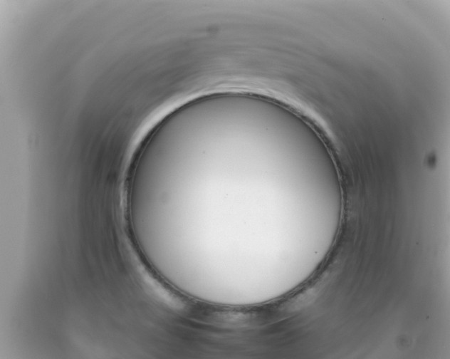 X0000092231517200709140931