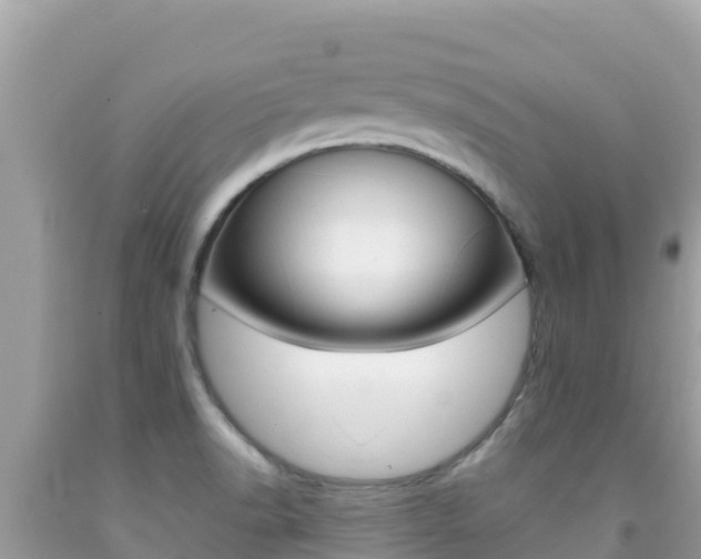 X0000092231518200709140931