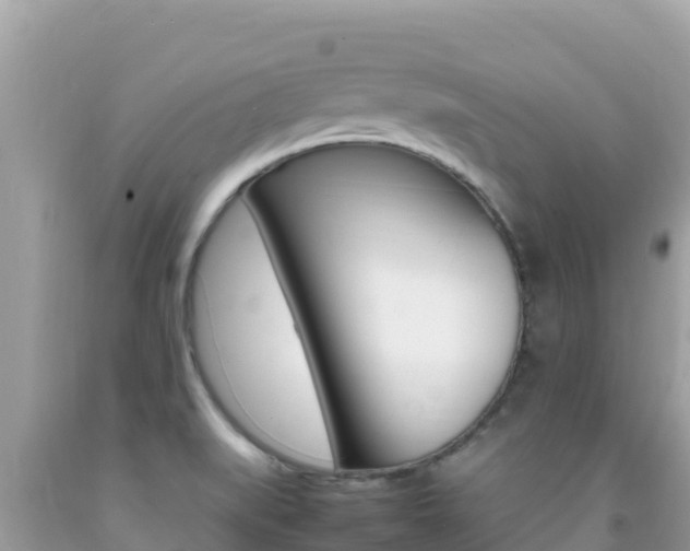 X0000092231519200709140931