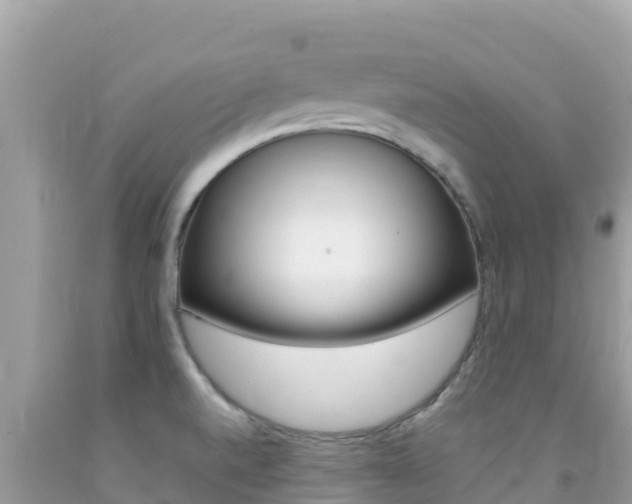 X0000092231520200709140931