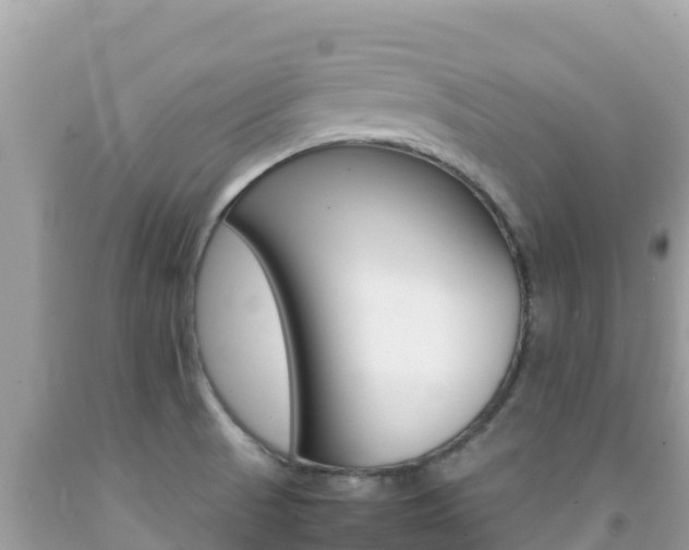 X0000092231521200709140931
