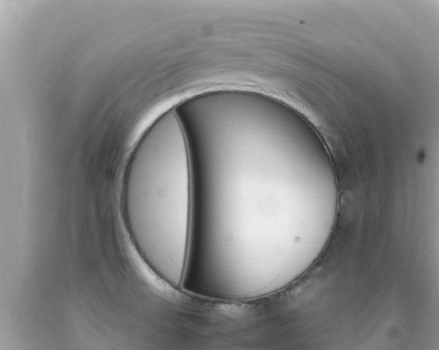 X0000092231523200709140931