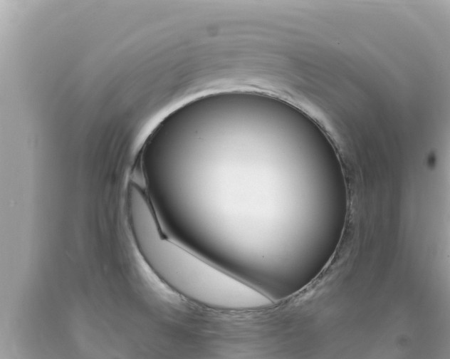 X0000092231524200709140931