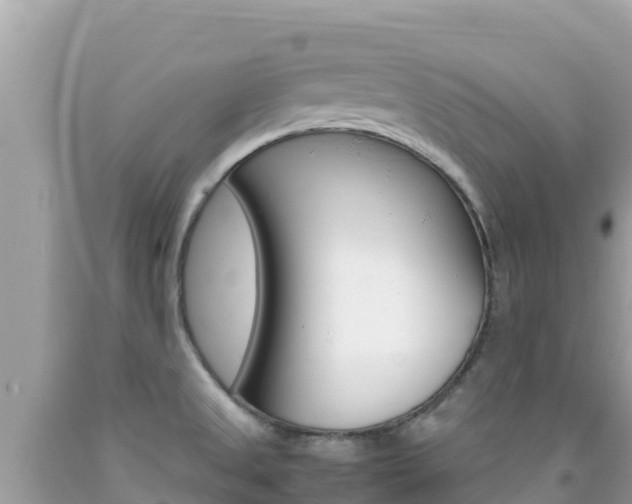 X0000092231525200709140931
