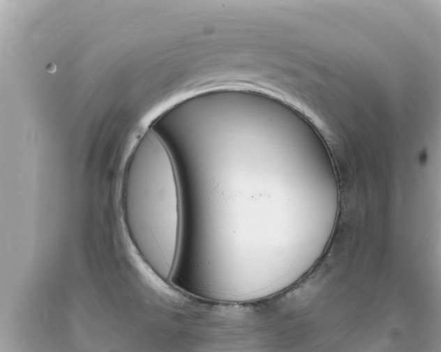 X0000092231526200709140932