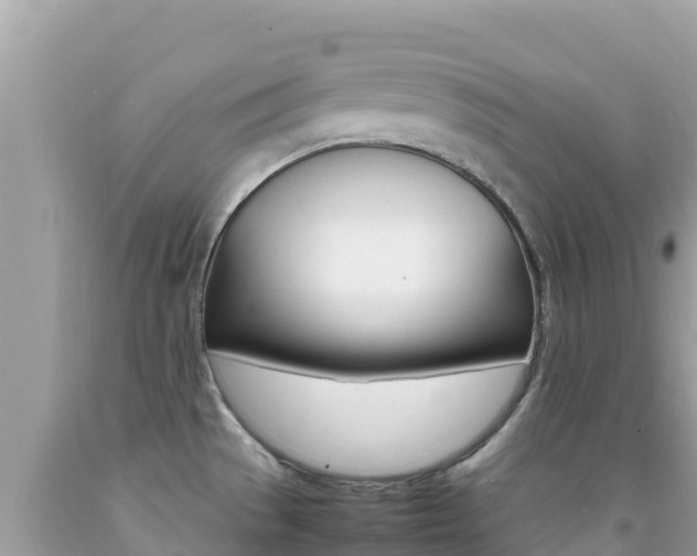 X0000092231529200709140932