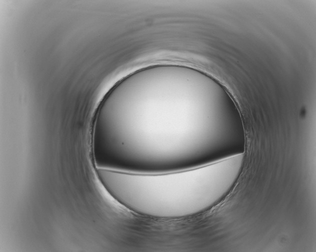 X0000092231531200709140932