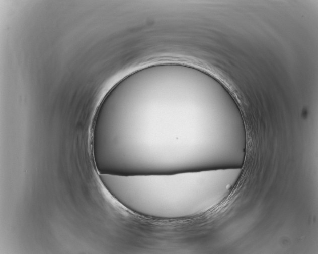 X0000092231535200709140932