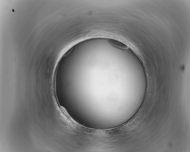 X0000092231536200709140932