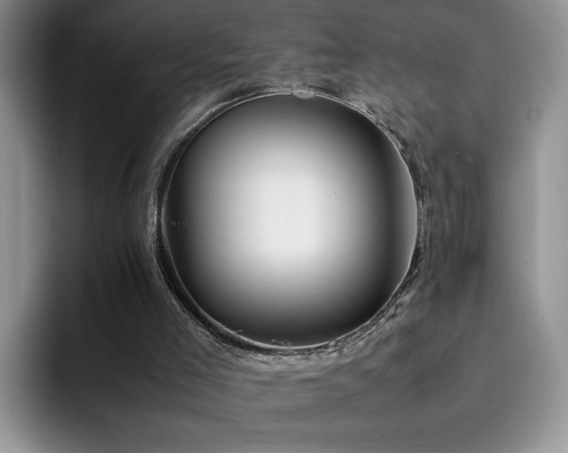 X0000092230005200709141114