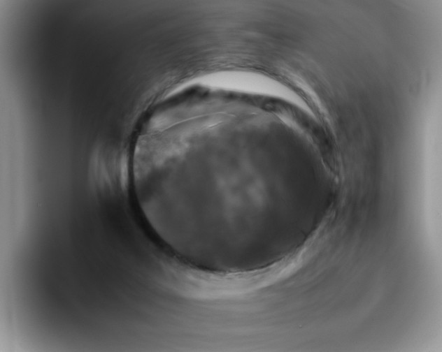 X0000092230019200709141114