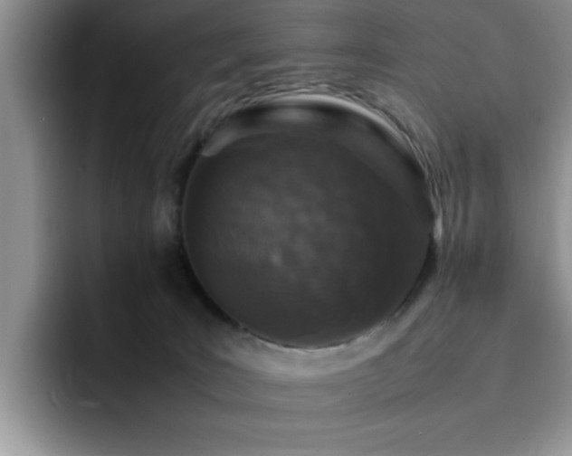 X0000092230035200709141113