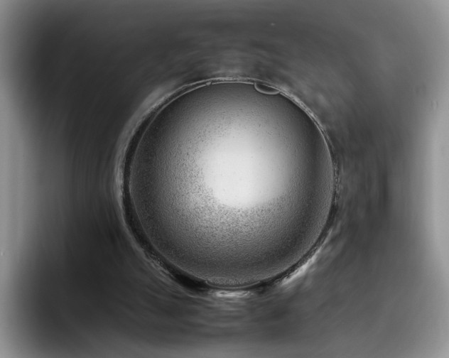 X0000092230055200709141113