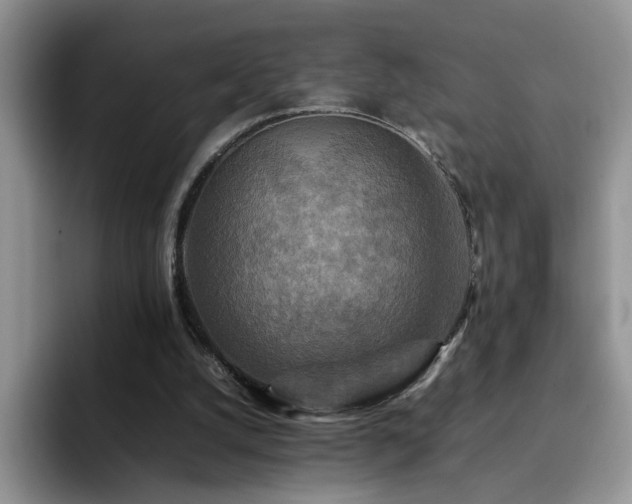 X0000092230056200709141113