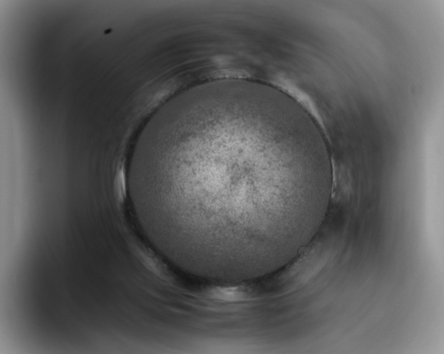 X0000092230061200709141113
