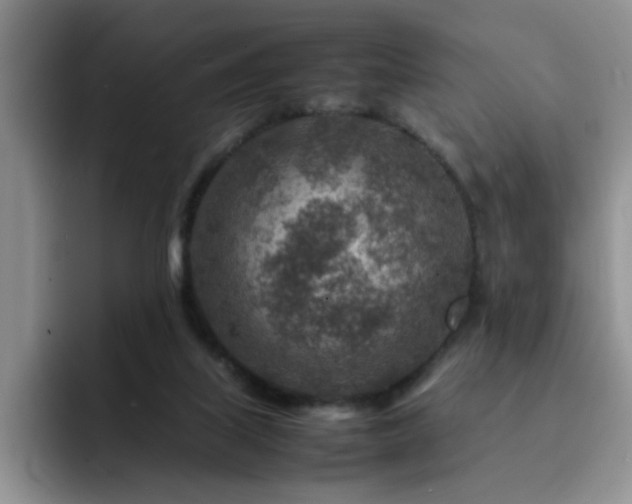 X0000092230067200709141113