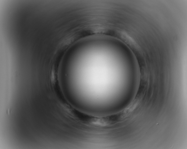 X0000092230074200709141113