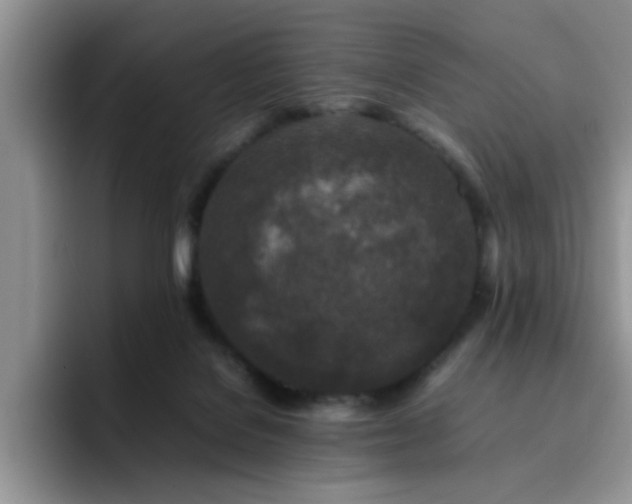 X0000092230076200709141113