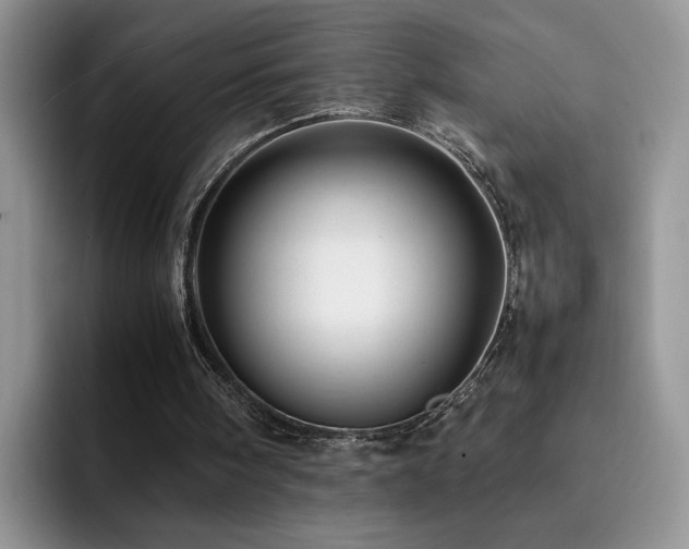 X0000092230098200709141113