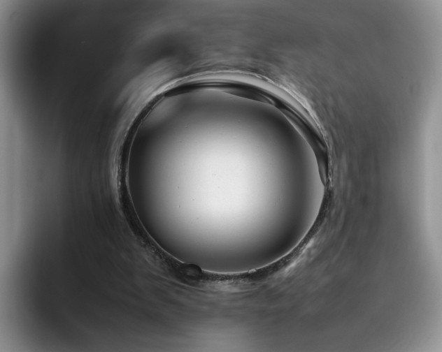 X0000092230103200709141113