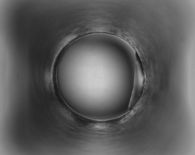 X0000092230104200709141113