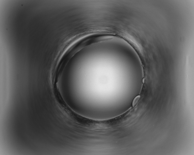X0000092230107200709141113