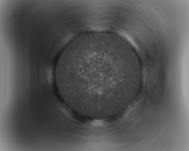 X0000092230114200709141113