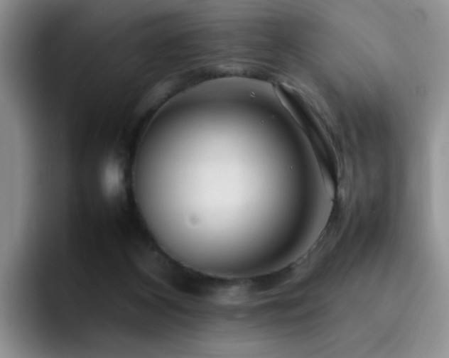 X0000092230116200709141113