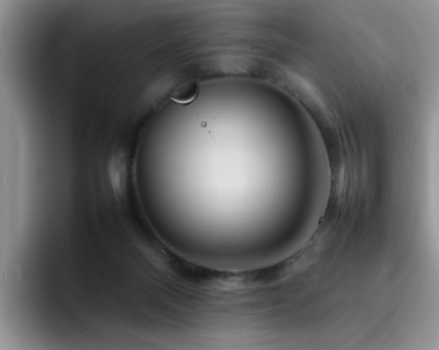 X0000092230120200709141112