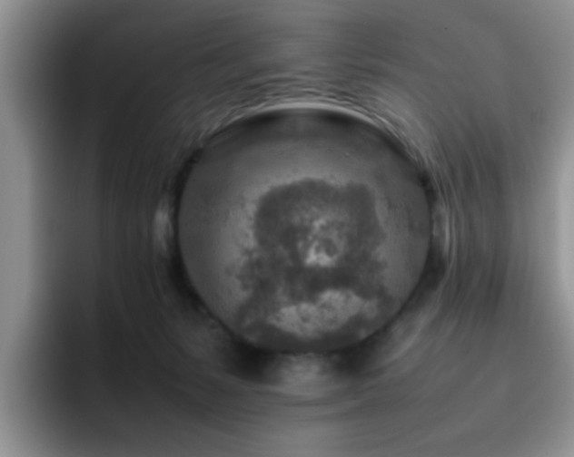 X0000092230127200709141112