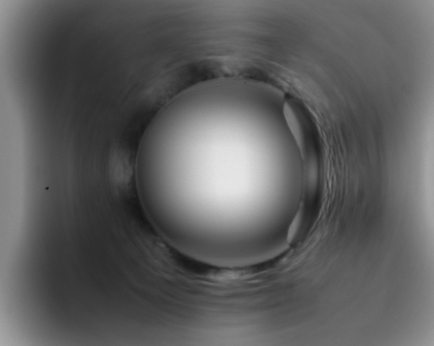 X0000092230129200709141112