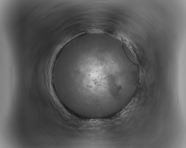 X0000092230145200709141112